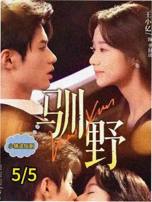 免费小说观看 沉默证人 刑侦推理小说封面